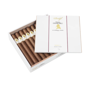 Davidoff WSC Churchill 20