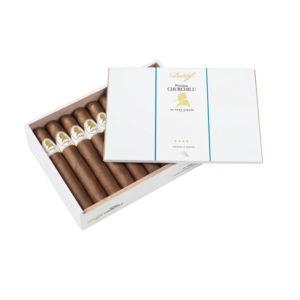 DAVIDOFF WSC TORO (20)